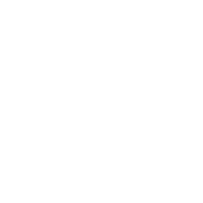 Geeks Dojo